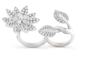 Lotus Between the Finger Ring