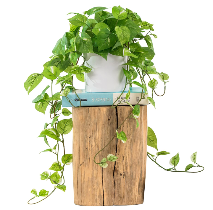 Hanging Plants Realistic Faux