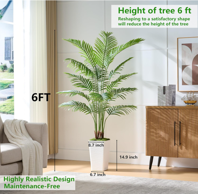Tropical Areca Floor Plant