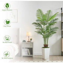 Tropical Areca Floor Plant