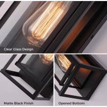 Metal Frame and Transparent Glass Shade
