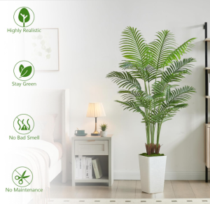 Tropical Areca Floor Plant
