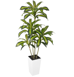 Artificial Dracaena Tree with Lifelike Leaves & Realistic Trunks