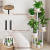 Garden Balcony Living Room Corner