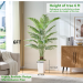 Tropical Areca Floor Plant