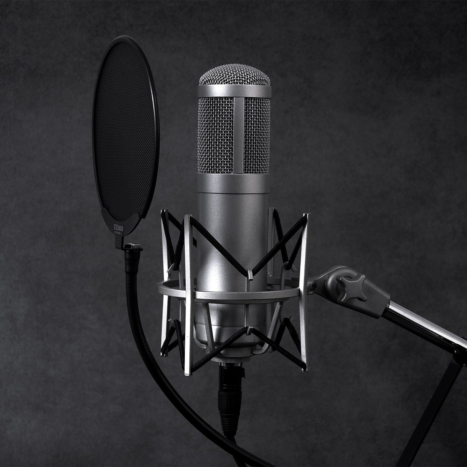 Stedman Proscreen XL Pop Filter