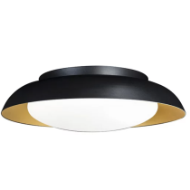 Bowl Ceiling Light