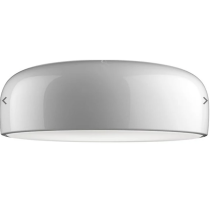 Flush Ceiling Light