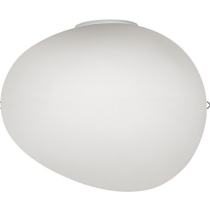Oval Shaped Ceiling Light