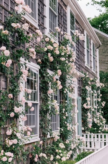 Rose Living