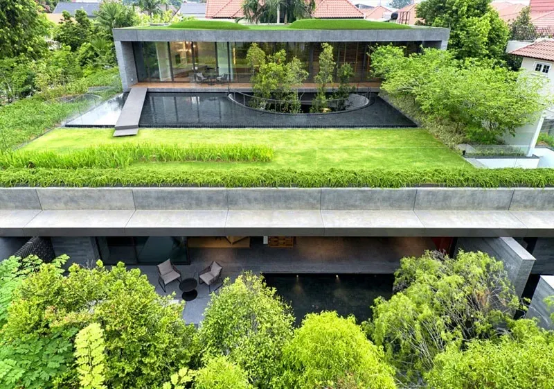 Green Oasis