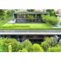 Green Oasis