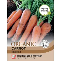 Carrot Seeds