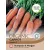Carrot Seeds