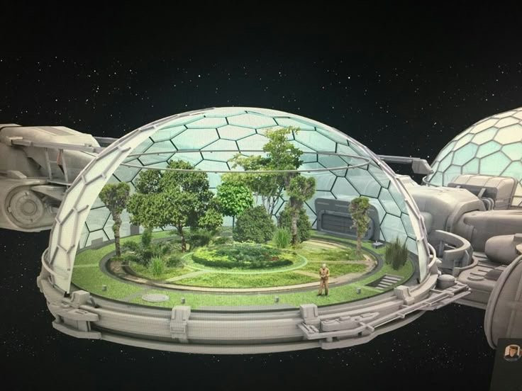 nebula nest
