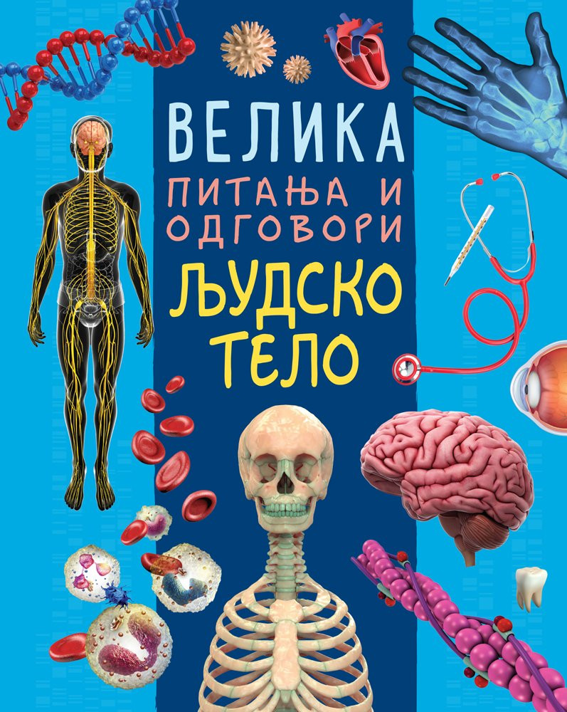 Velika pitanja i odgovori: Ljudsko telo
