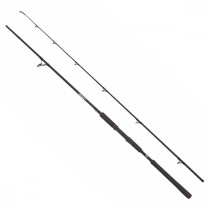 BEAST Pike 862XXH 40-140g Spinning