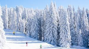 Kopaonik