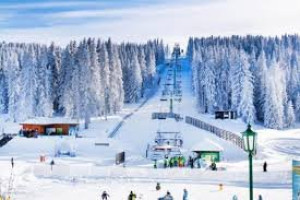 Kopaonik