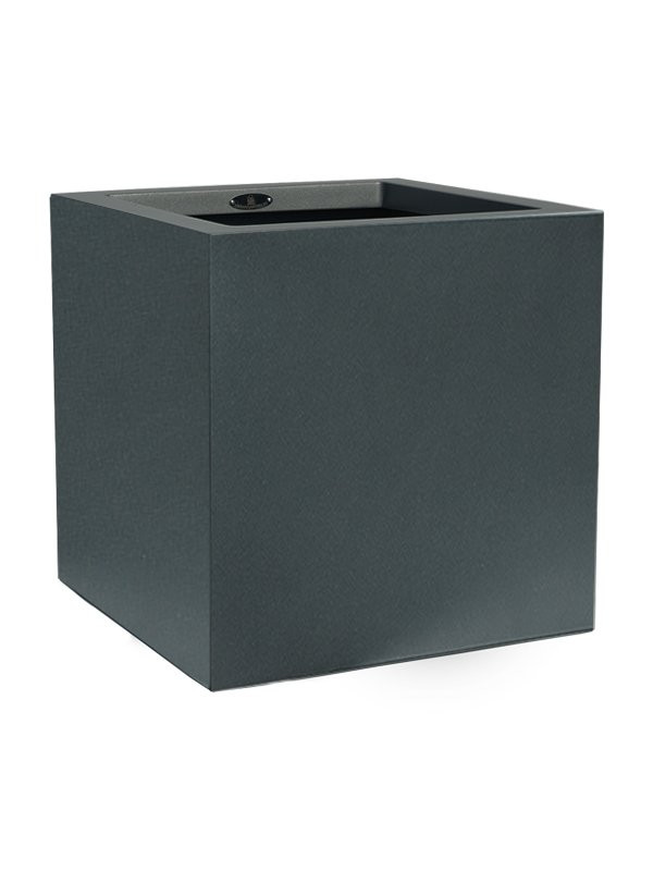 Cubo saksija