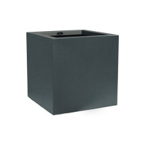 Cubo saksija