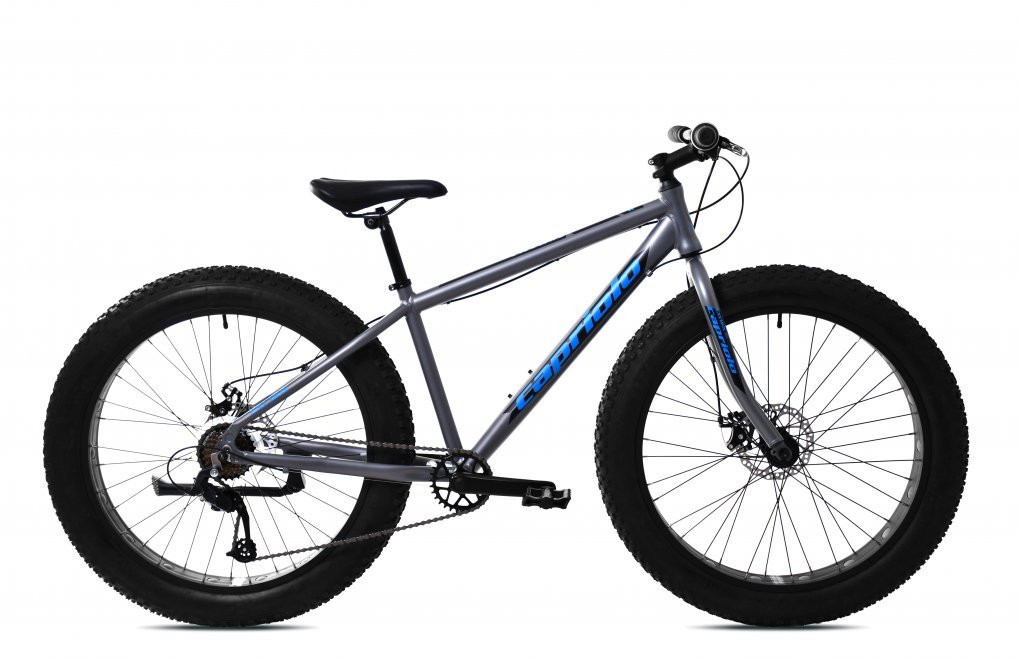 FAT BOY 26 alloy