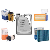 Mali servis – benzinski motor