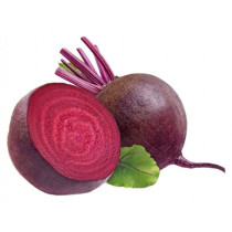 Cvekla