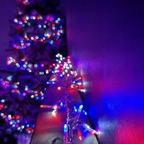 Lampica Policemas