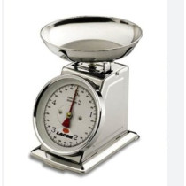 Mehanička Inox vaga
