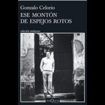 Ese montón de espejos rotos