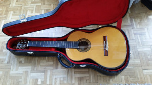 Western Acoustics Travel 