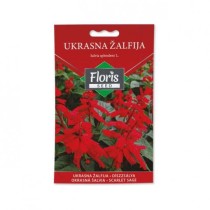 FLORIS CVEĆE UKRASNA ŽALFIJA