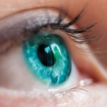 Alcon AIR OPTIX Colors (TIRKIZNA)