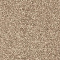 Tepison 5