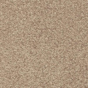 Tepison 5