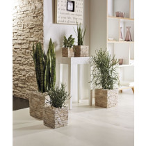 Stonewall četvrtasta saksija