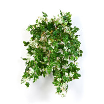 Veštačka puzavica ampelopsis