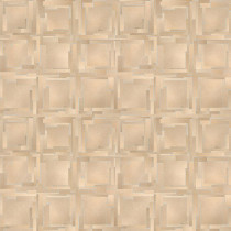 Vinil Olympic Terens