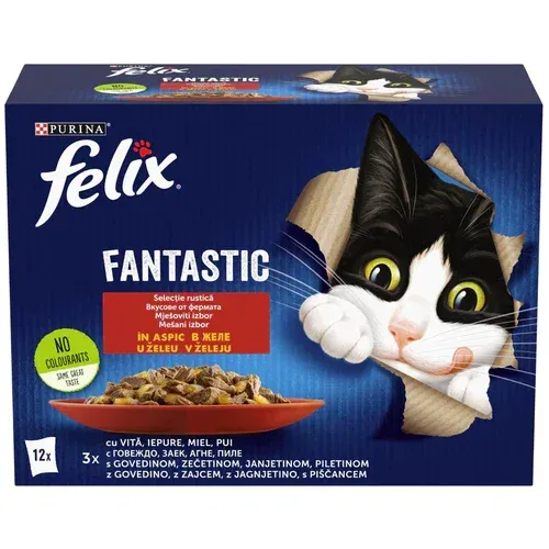 FELIX Fantastic, Mešani izbor mesa u želeu, 12x85g