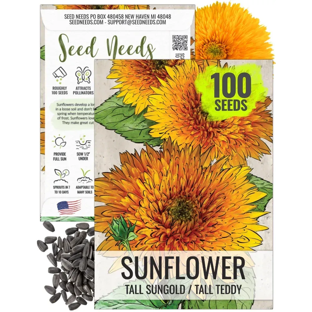 Suncokret ukrasni (Helianthus annuus)