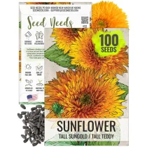 Suncokret ukrasni (Helianthus annuus)